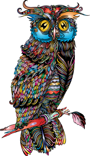 bird-owl-drawing-6539424